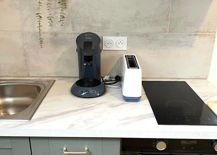 Apartment Le Dome-vue Sur Les Montagnes *